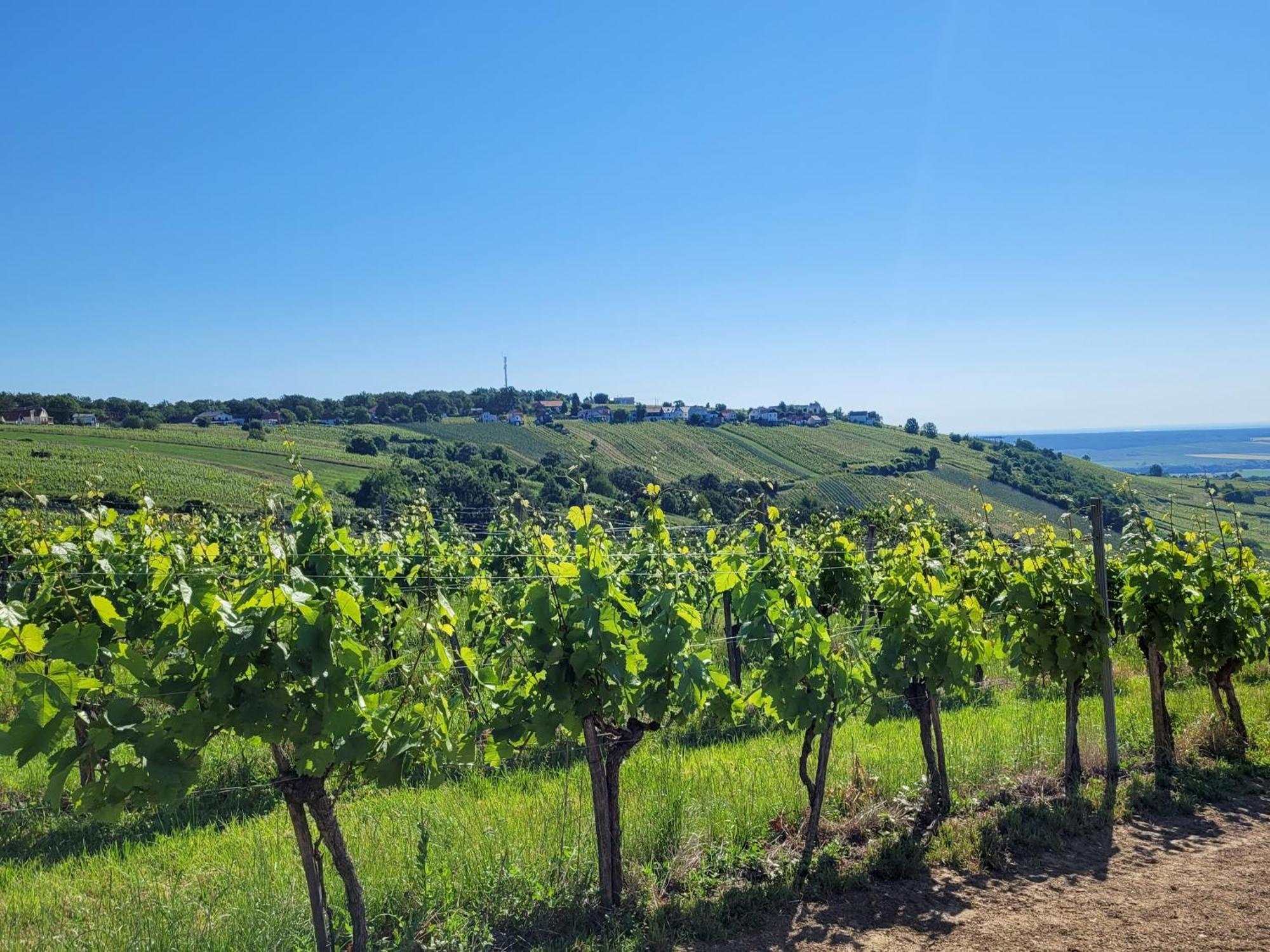 Kellerstoeckl Am Berg Βίλα Eisenberg an der Pinka Εξωτερικό φωτογραφία