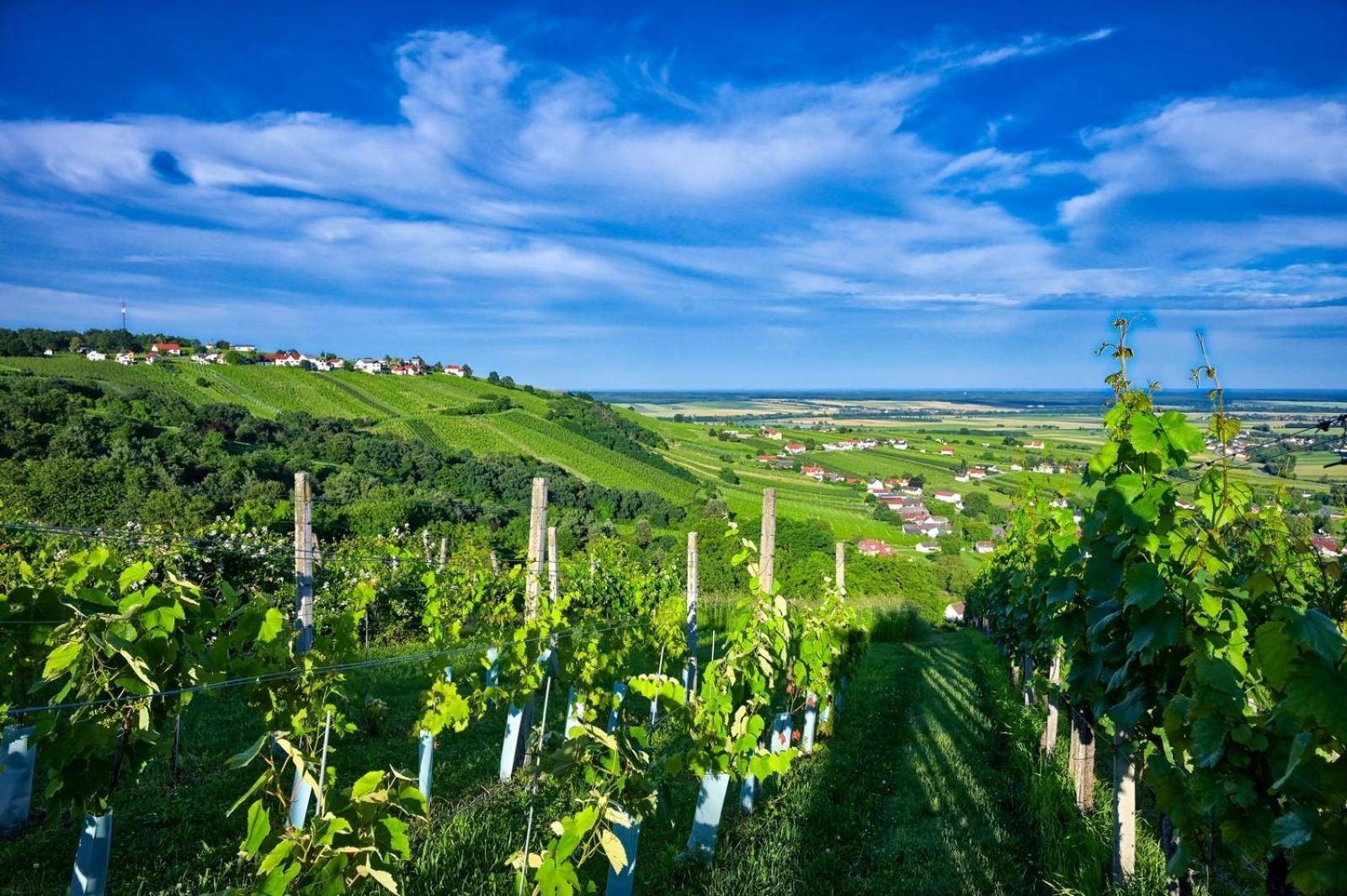Kellerstoeckl Am Berg Βίλα Eisenberg an der Pinka Εξωτερικό φωτογραφία